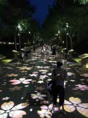 Outdoor Customized LED Light High Power 150W Integrated Light Source
