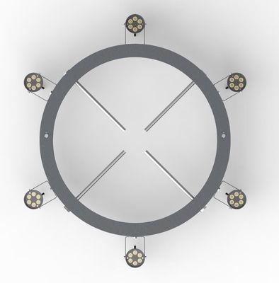 IK08 Customized LED Light DC24V - DC48V LED Palm Tree Light Ring
