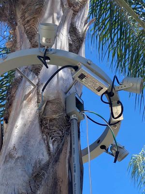 IK08 Customized LED Light DC24V - DC48V LED Palm Tree Light Ring