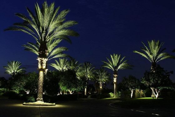 IK08 Customized LED Light DC24V - DC48V LED Palm Tree Light Ring